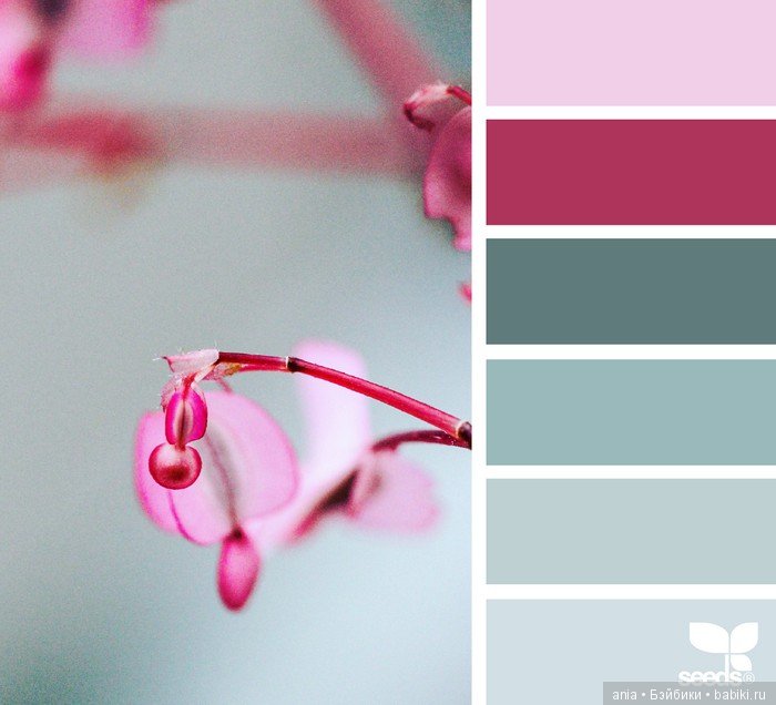 Сочетание цвета. Природа и цветы