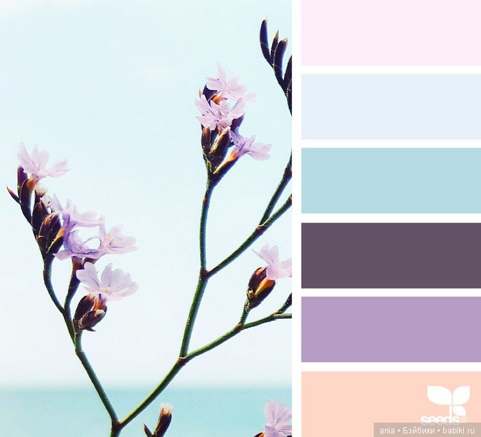 Сочетание цвета. Природа и цветы (фото 7)