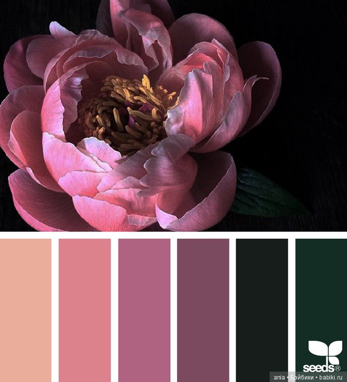 Сочетание цвета. Природа и цветы