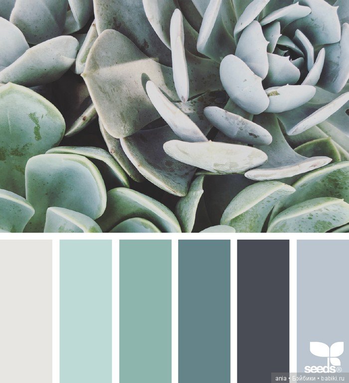 Сочетание цвета. Природа и цветы