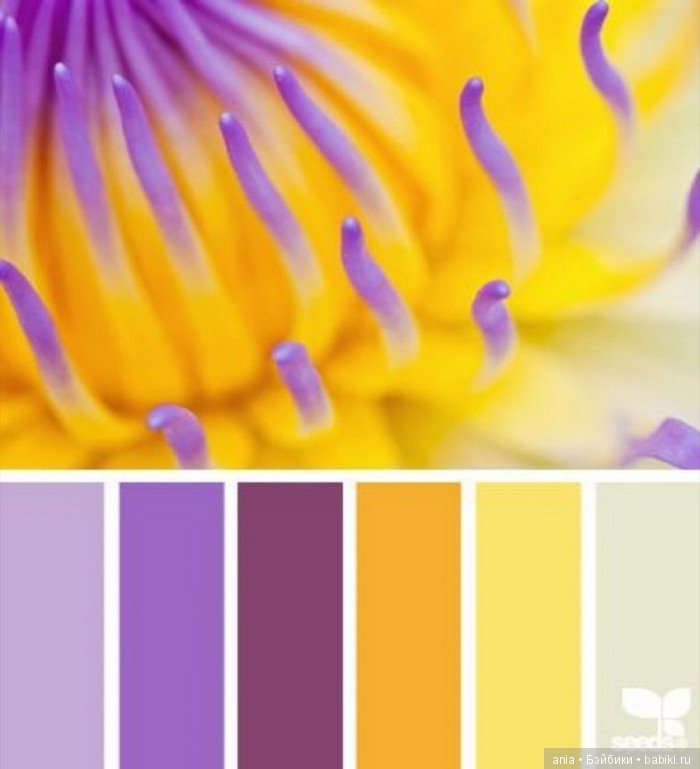 Сочетание цвета. Природа и цветы