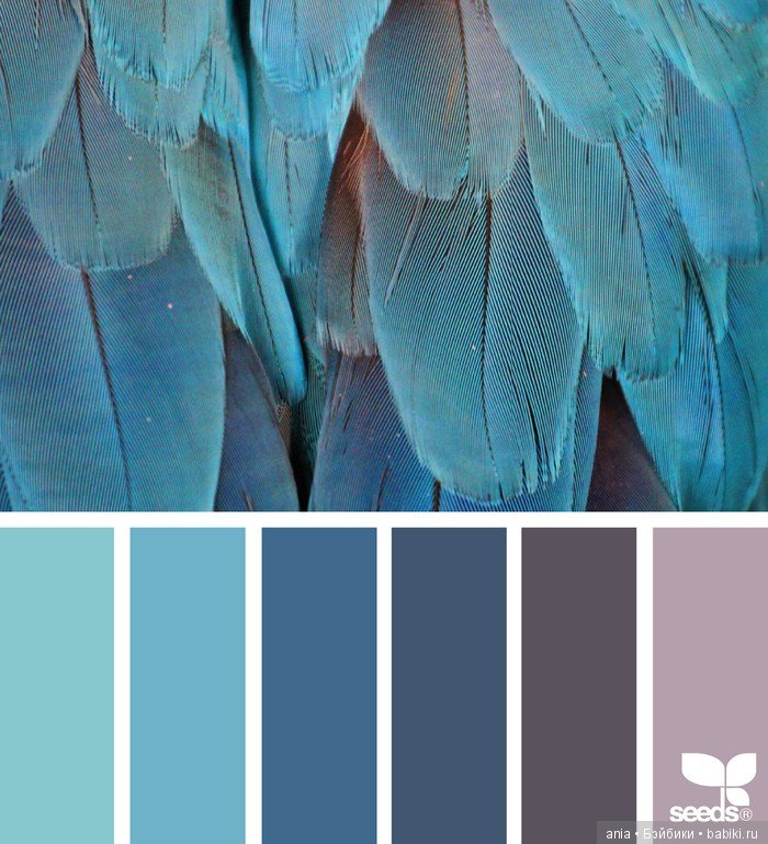 Сочетание цвета. Природа и цветы