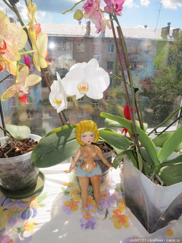 И снова в каморке у папы Карло... часть (фото 7)