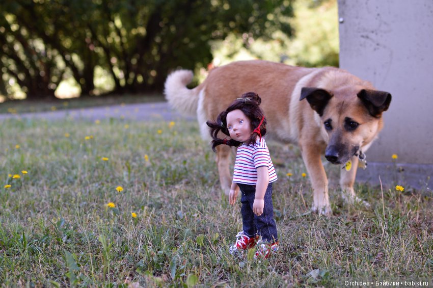 I'm not a glamour girl! Городская девчонка Lilac Zwergnase Junior