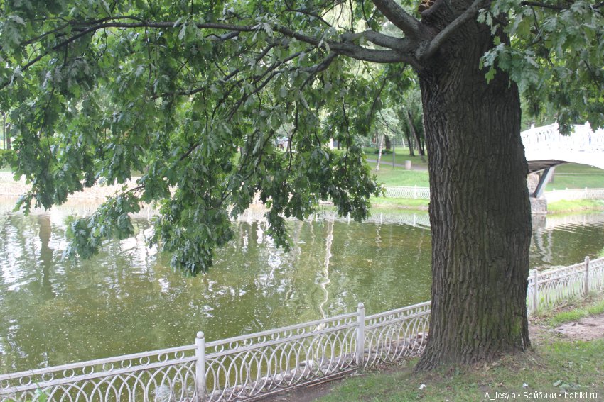 Назову тебя Августинкой… — Куклы Magic Baby (Lamagik): характерные