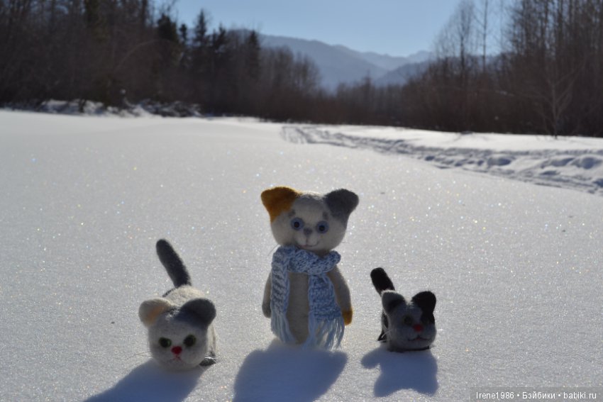 Котенок Кузя- путешественник, сухое валяние. Отдыхал на Байкале (фото 4)