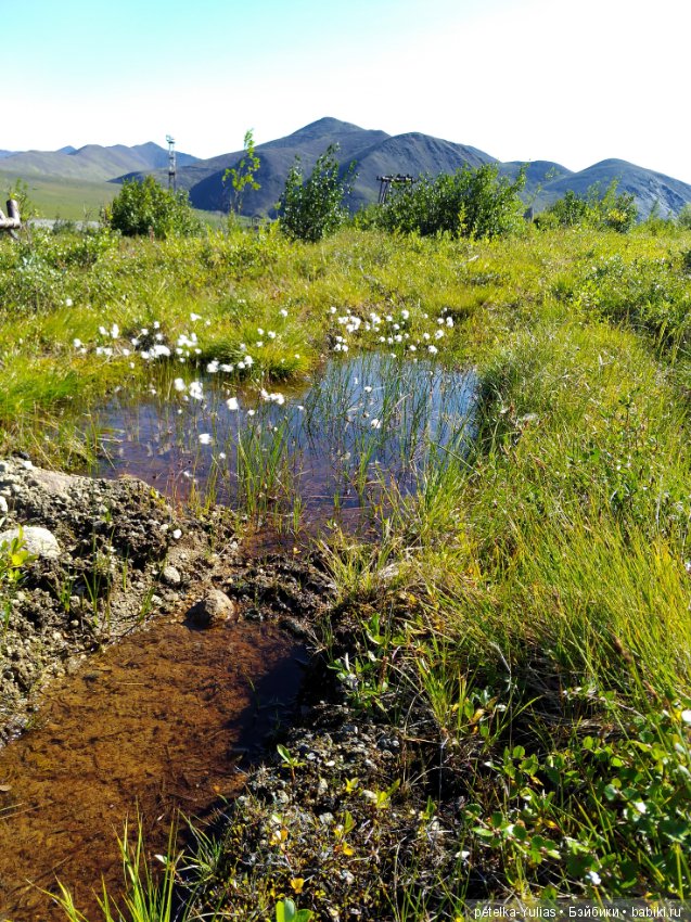 Юляша на природе) — Куклы Fairyland (ФэйриЛэнд): BJD (БЖД)