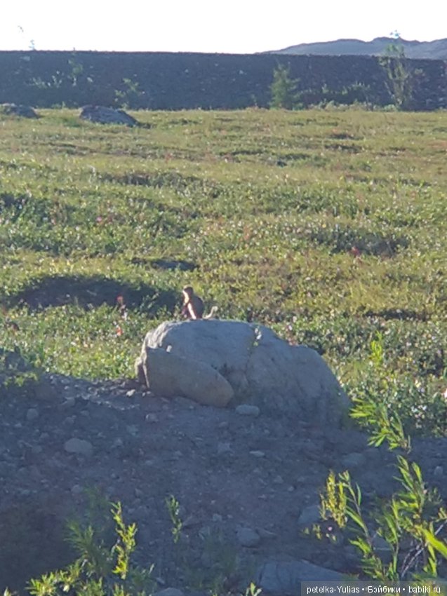 Юляша на природе) — Куклы Fairyland (ФэйриЛэнд): BJD (БЖД)