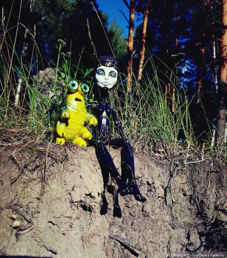 Зачем мы сюда прилетели — Куклы Monster High и Ever After High: G1 (фото 2)