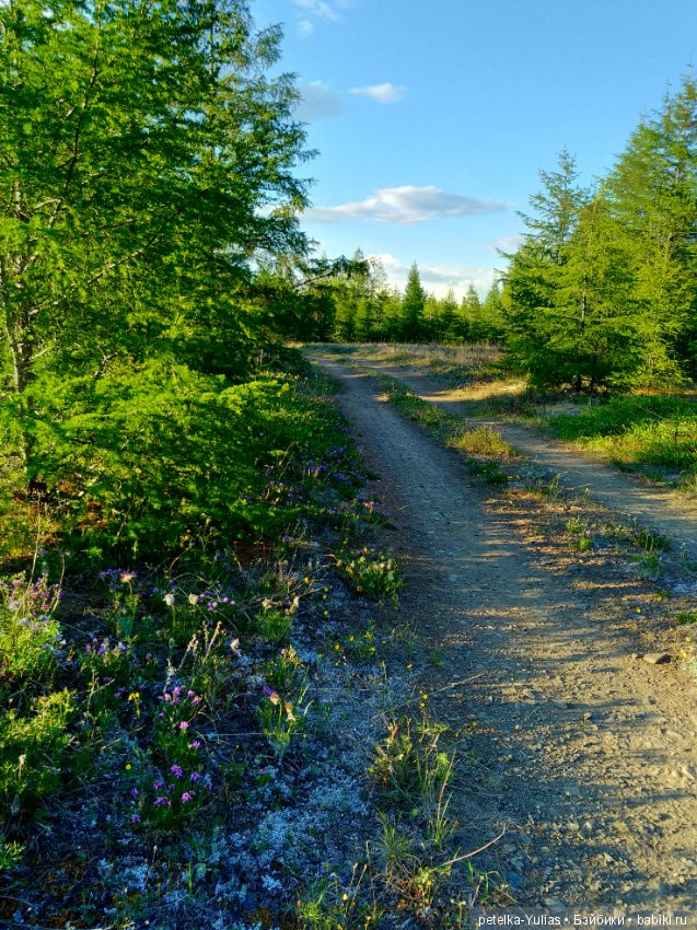 Куда уезжают куклы.Чукотка.Часть 1 (фото 9)