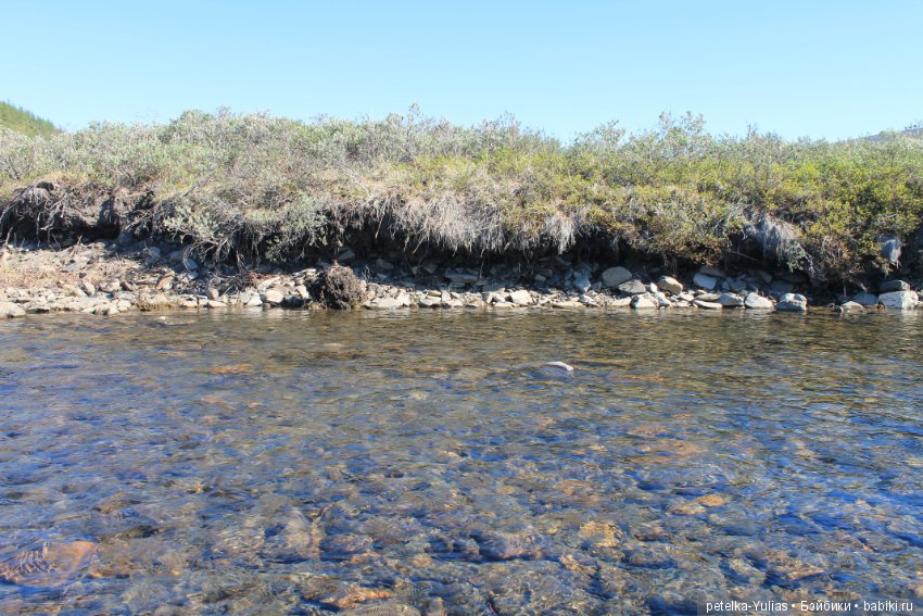 Куда уезжают куклы.Чукотка.Часть 1 (фото 6)