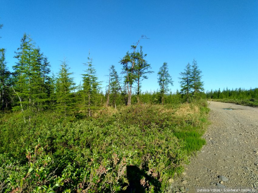 Куда уезжают куклы.Чукотка.Часть 2 (фото 8)