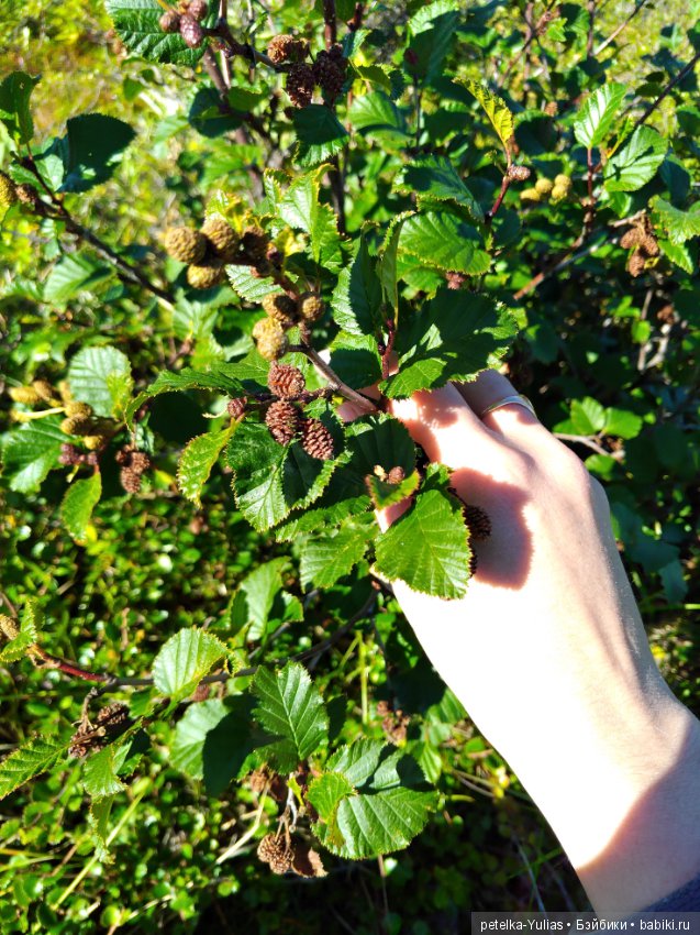 Куда уезжают куклы.Чукотка.Часть 2