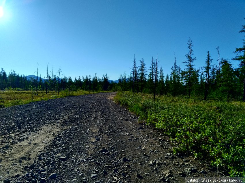 Куда уезжают куклы.Чукотка.Часть 2 (фото 7)