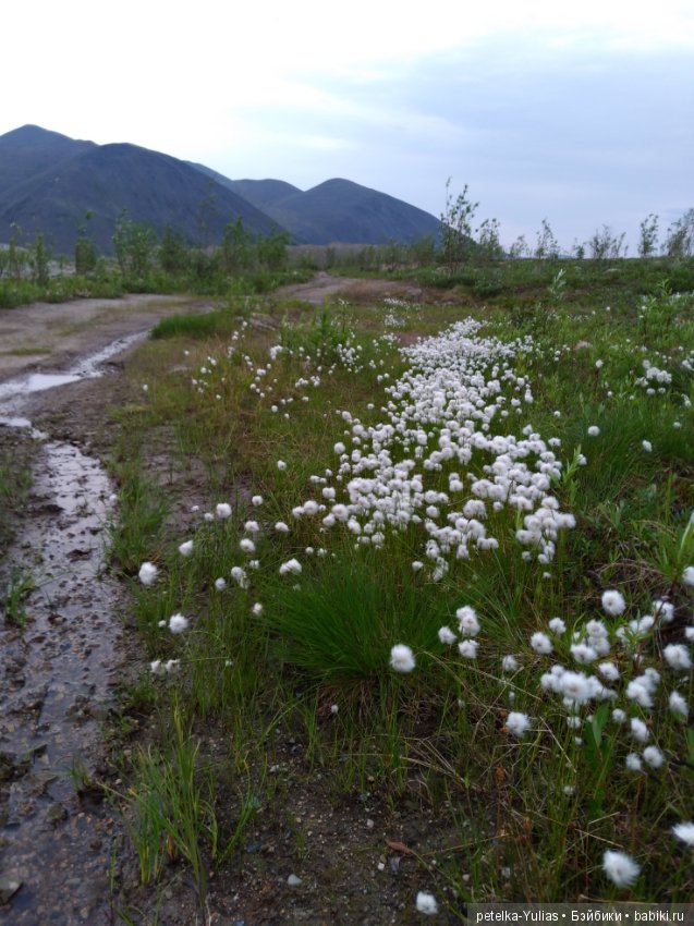 Куда уезжают куклы.Чукотка.Часть 2