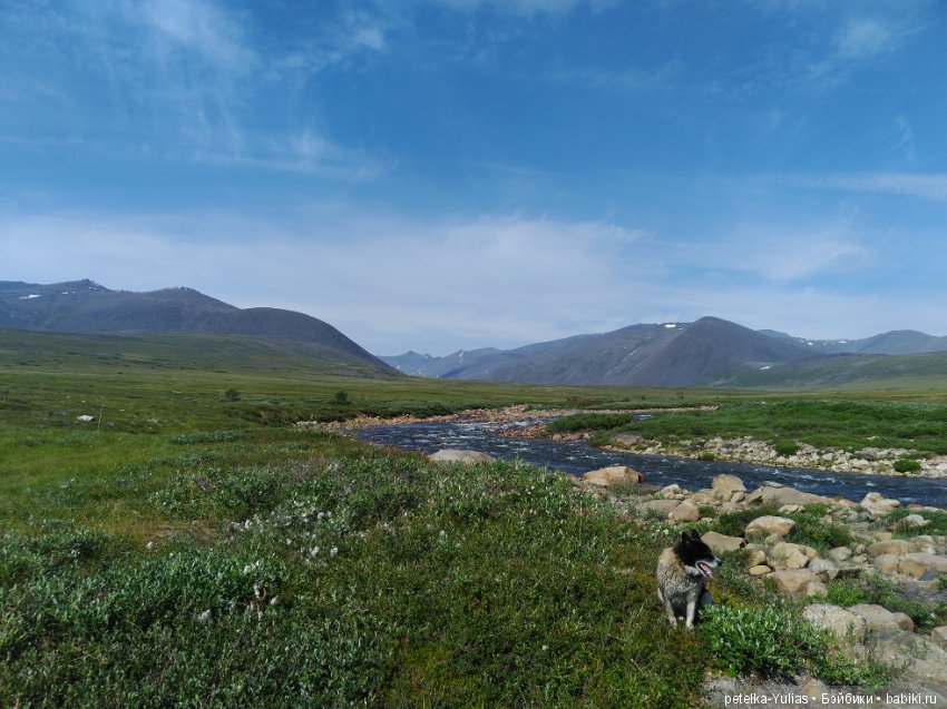 Куда уезжают куклы.Чукотка.Часть 2 (фото 10)