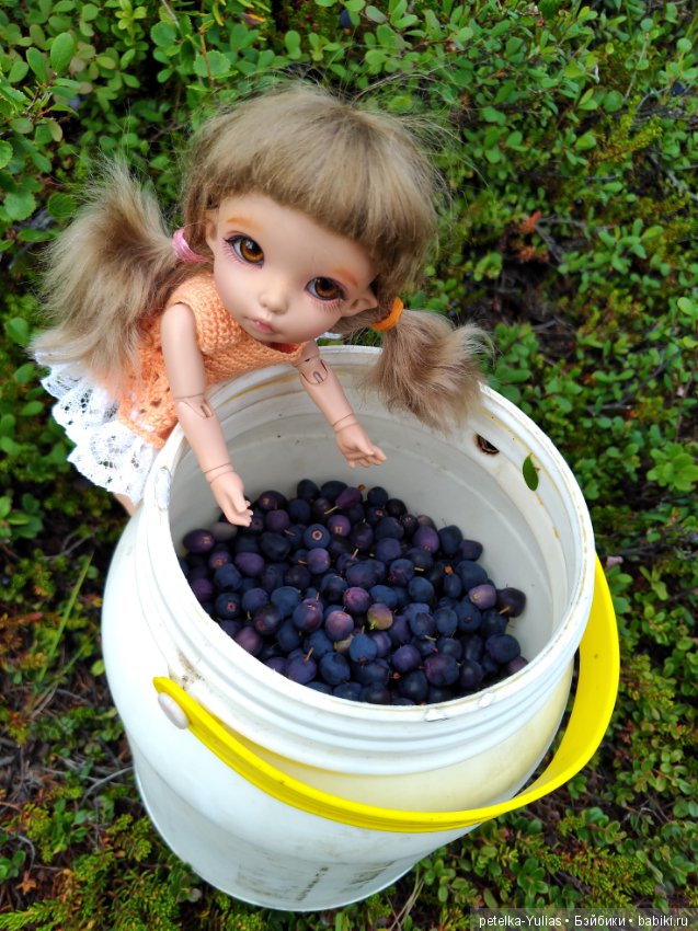 Куда уезжают куклы.Чукотка.Часть 2