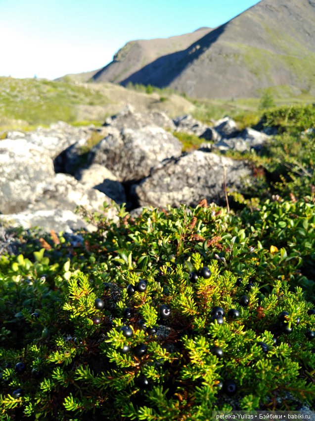 Куда уезжают куклы.Чукотка.Часть 2