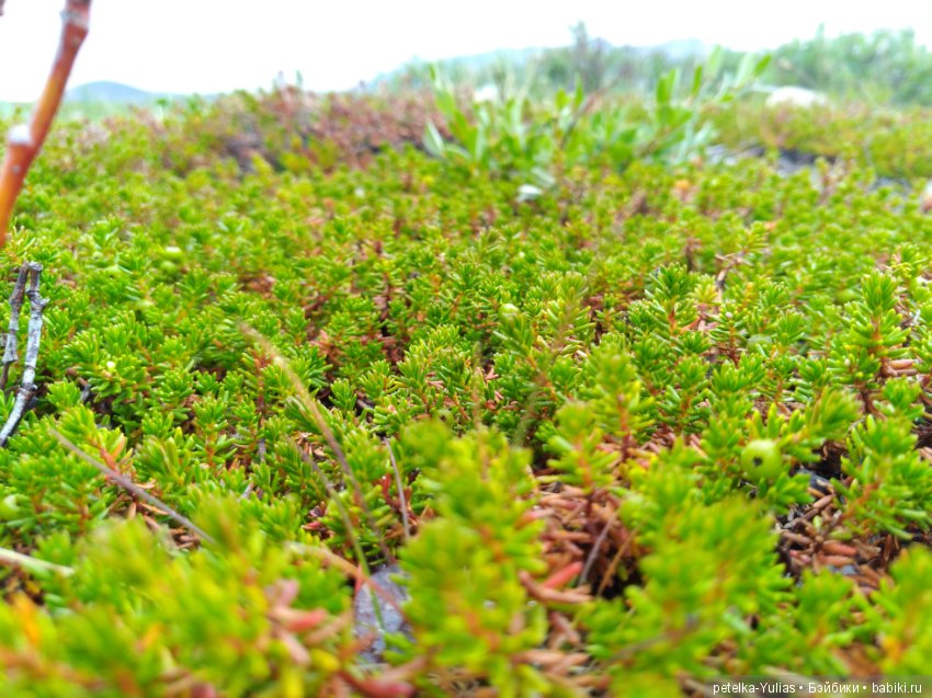 Куда уезжают куклы.Чукотка.Часть 2