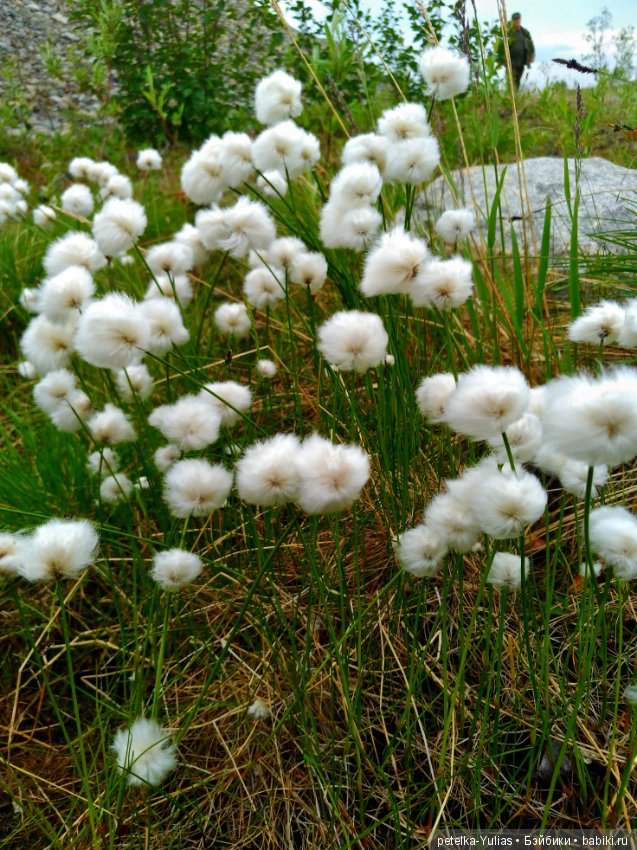 Куда уезжают куклы.Чукотка.Часть 2