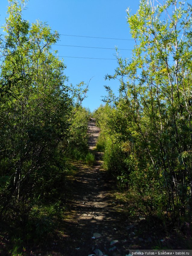 Куда уезжают куклы.Чукотка.Часть 2