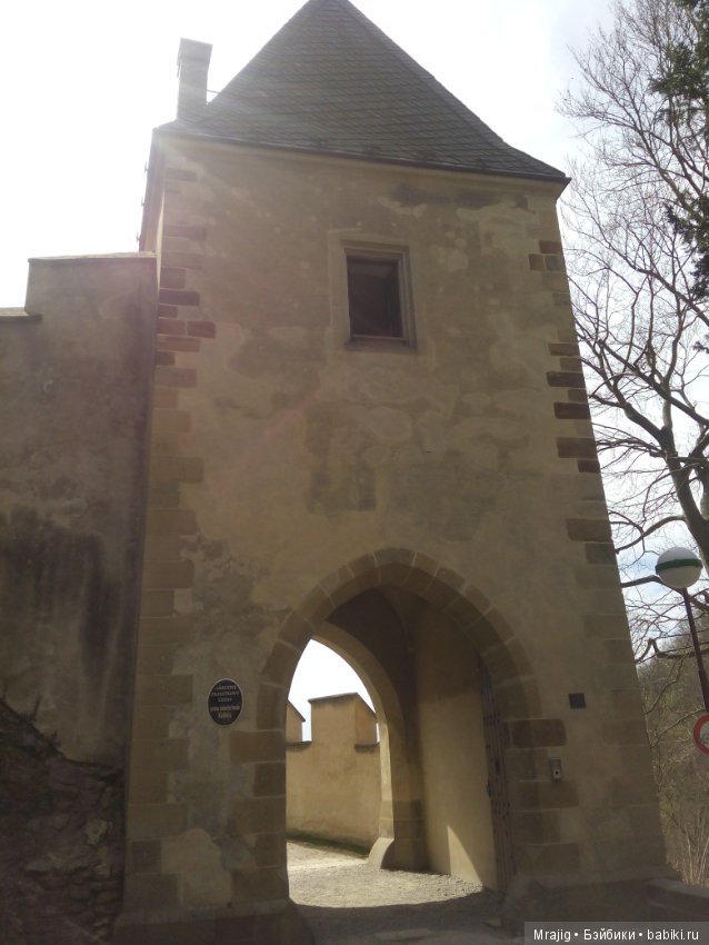 Из Чехии вернулись с пополнением