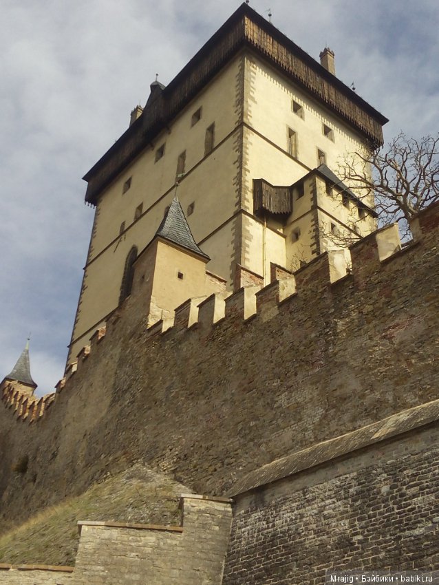 Из Чехии вернулись с пополнением (фото 2)