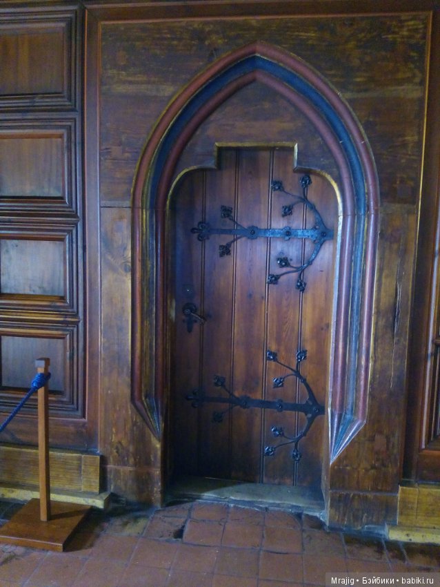 Из Чехии вернулись с пополнением (фото 5)