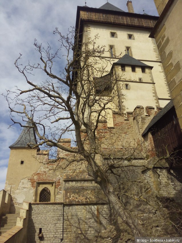 Из Чехии вернулись с пополнением (фото 7)