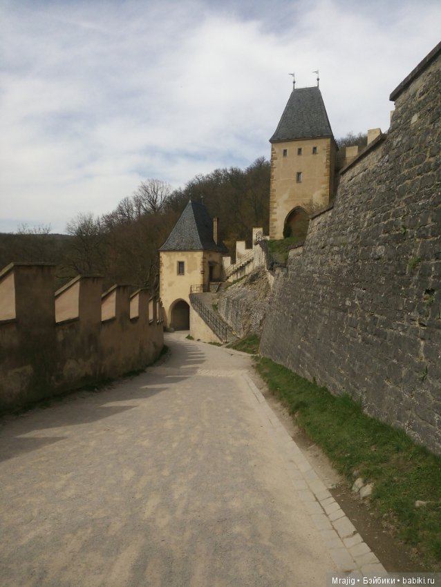 Из Чехии вернулись с пополнением (фото 8)