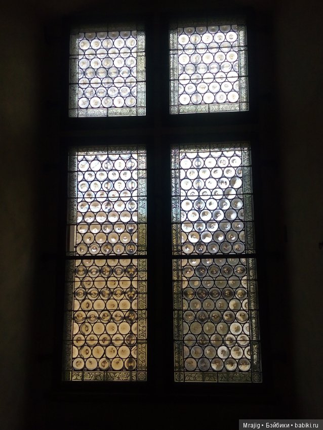 Из Чехии вернулись с пополнением (фото 6)