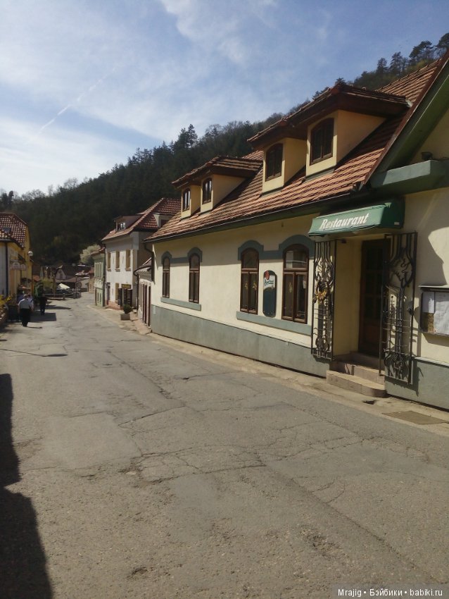 Из Чехии вернулись с пополнением