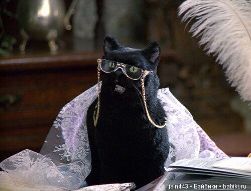 Сабрина - маленькая ведьма (фото 6)