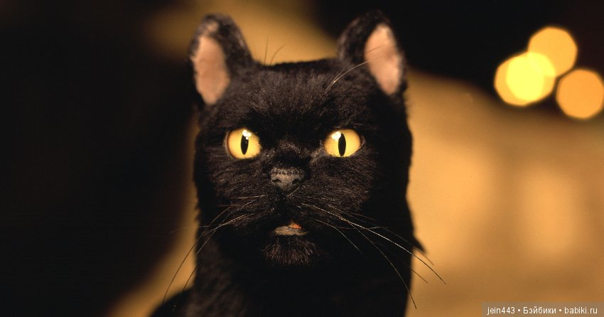 Сабрина - маленькая ведьма (фото 5)