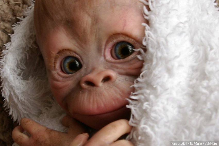 Обезьянки Bindi и Binki в моем исполнении (фото 8)