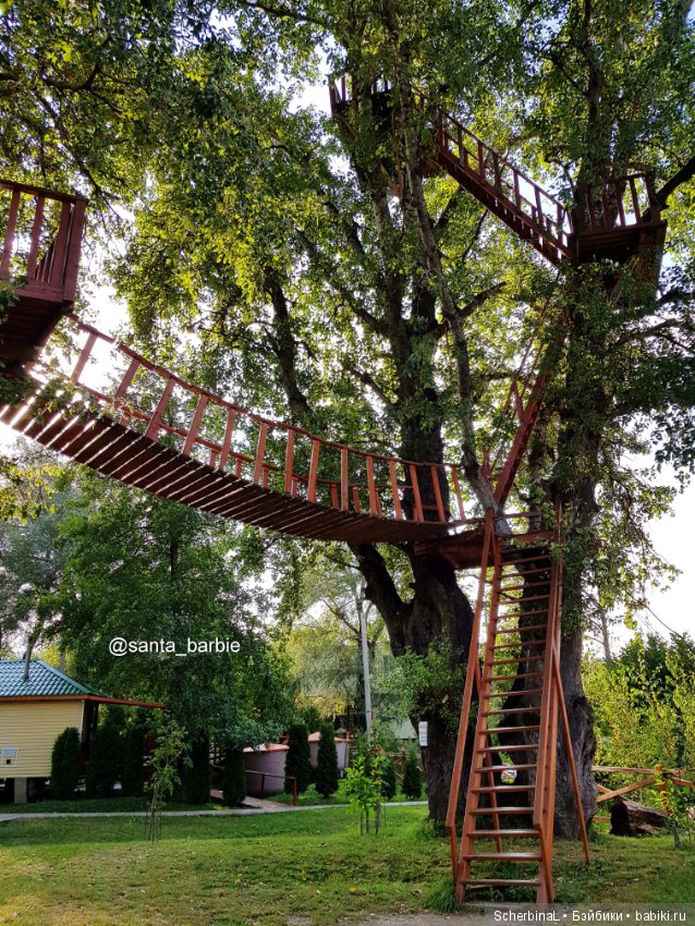 STARKовы LIFE. Клуб разбитых мужских сердец (фото 4)