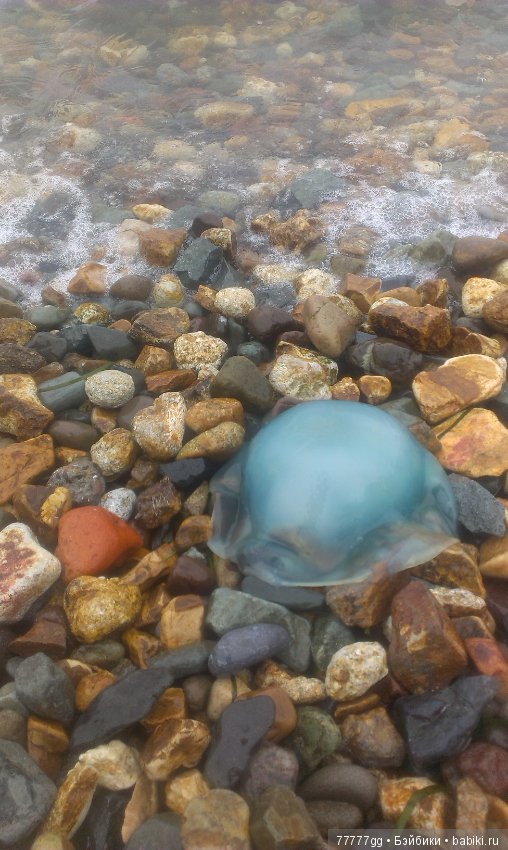 Голубое бывает разным — Болталка и разговоры обо всем: жизнь (фото 4)