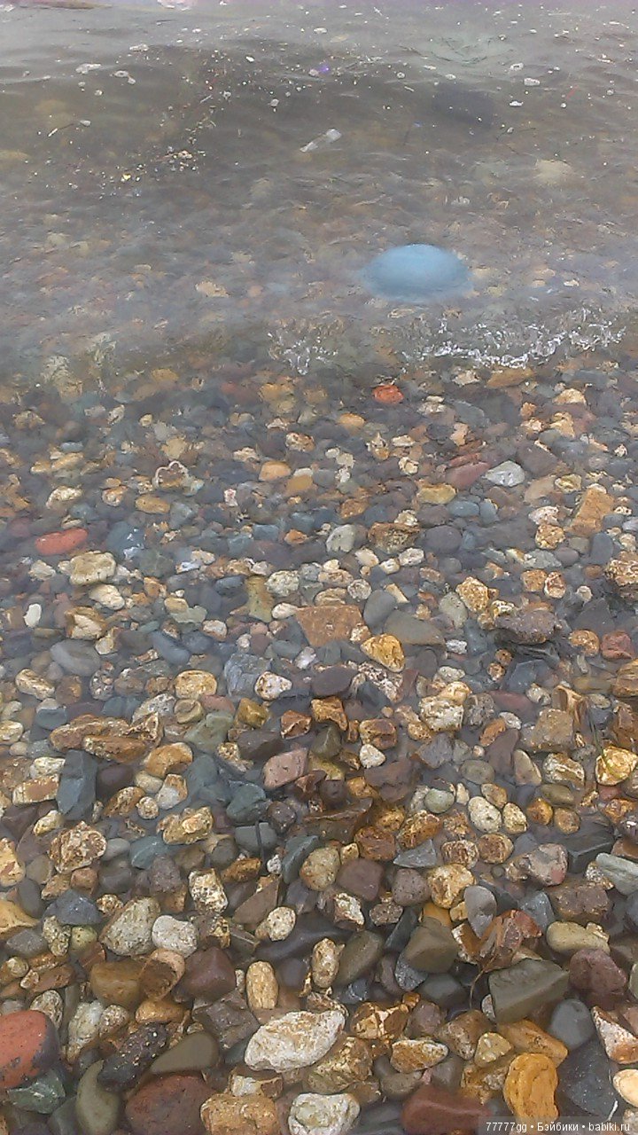 Голубое бывает разным — Болталка и разговоры обо всем: жизнь