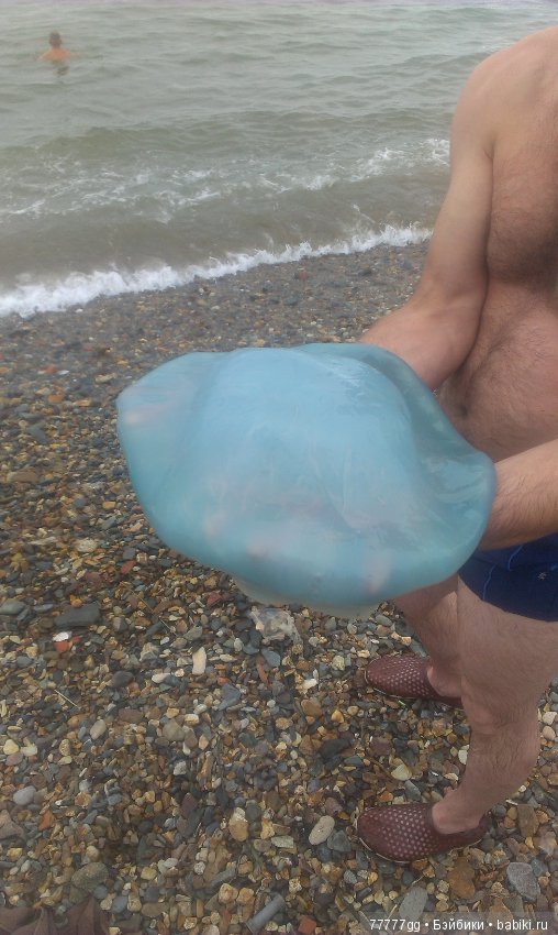 Голубое бывает разным — Болталка и разговоры обо всем: жизнь (фото 6)