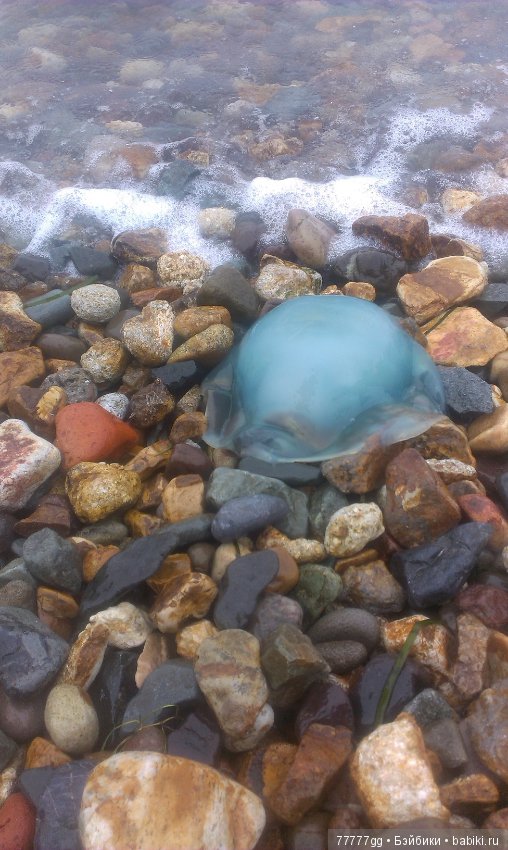 Голубое бывает разным — Болталка и разговоры обо всем: жизнь (фото 3)