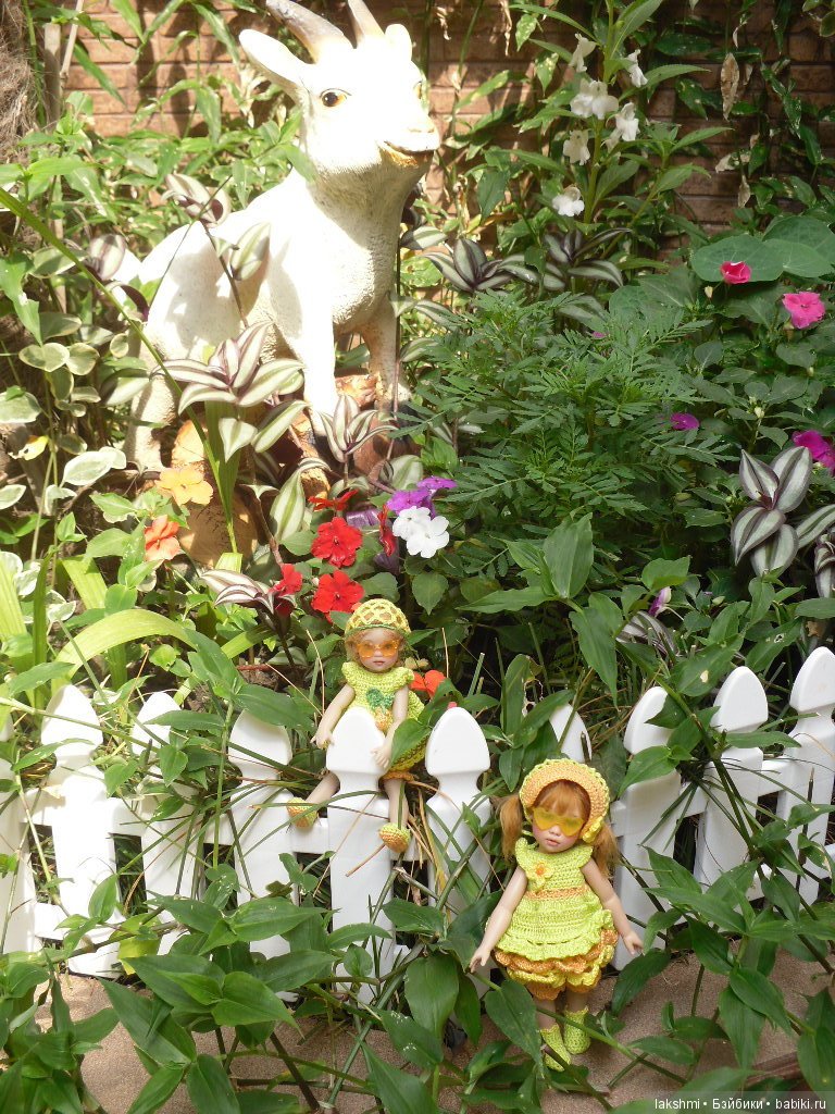 А мы вернулись с моря! (*_*)