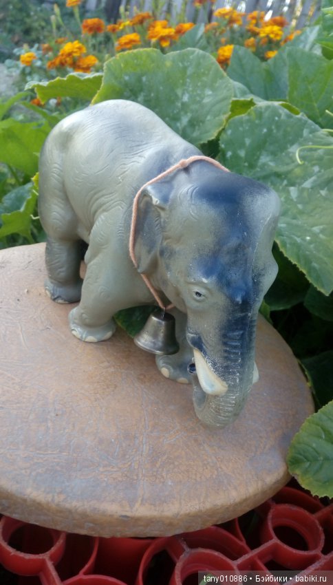 Слон Бэби в Ленинградском зоопарке