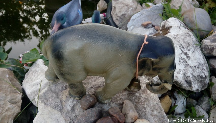 Слон Бэби в Ленинградском зоопарке