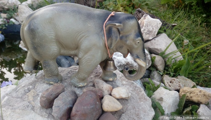 Слон Бэби в Ленинградском зоопарке