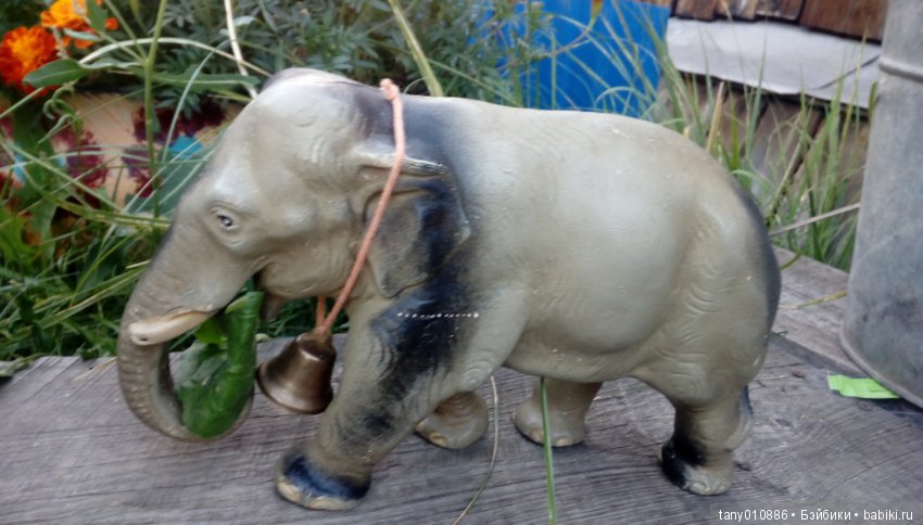 Слон Бэби в Ленинградском зоопарке (фото 3)
