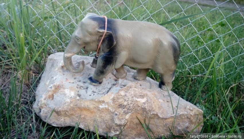 Слон Бэби в Ленинградском зоопарке (фото 10)