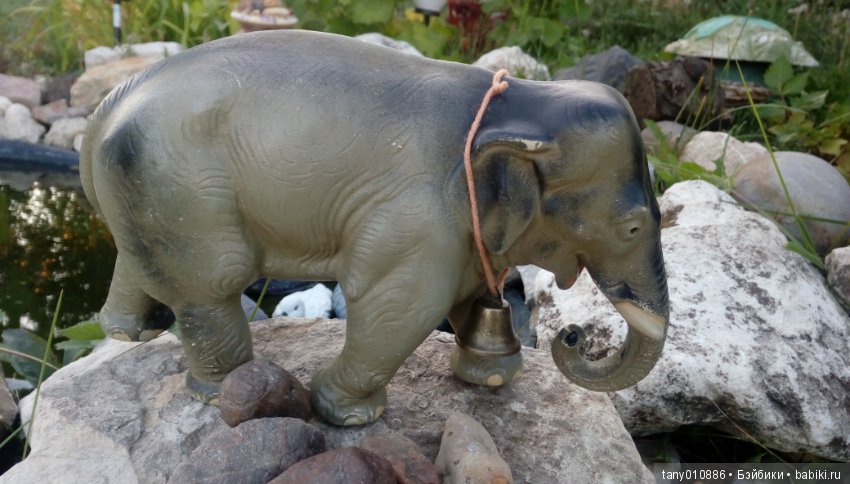 Слон Бэби в Ленинградском зоопарке