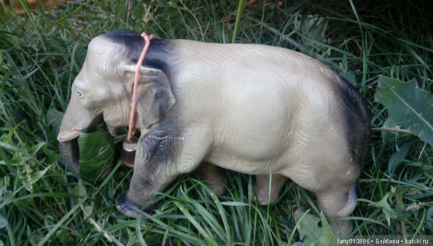 Слон Бэби в Ленинградском зоопарке (фото 2)