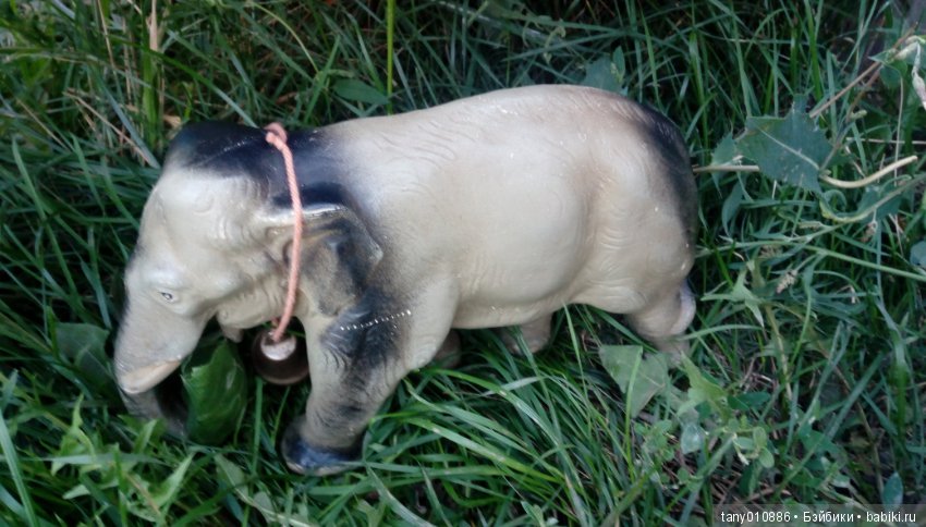 Слон Бэби в Ленинградском зоопарке