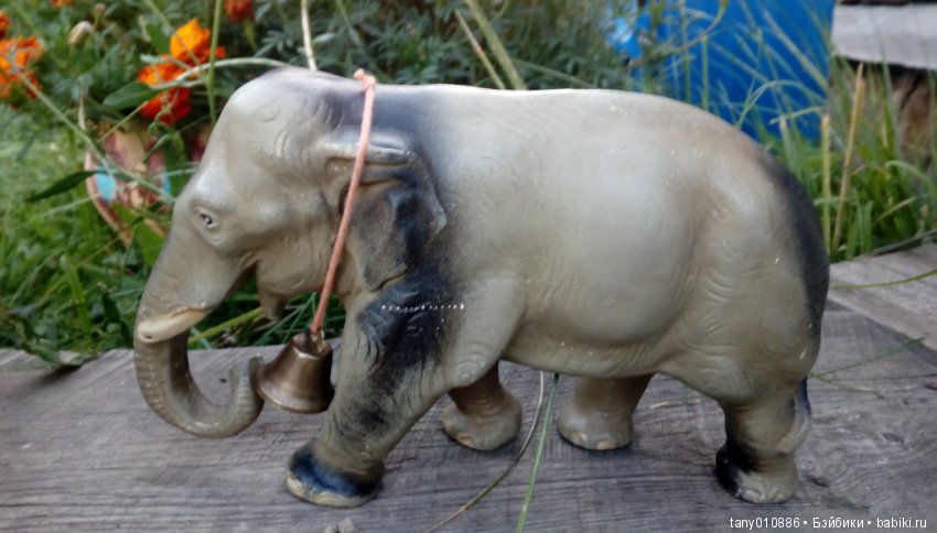 Слон Бэби в Ленинградском зоопарке (фото 4)